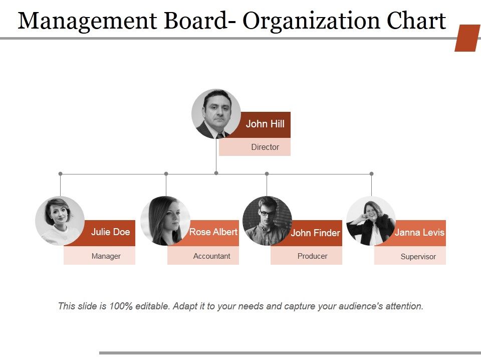 Management_Board_Organization_Chart_Ppt_PowerPoint_Presentation_Slides_Infographics_Slide_1.jpg