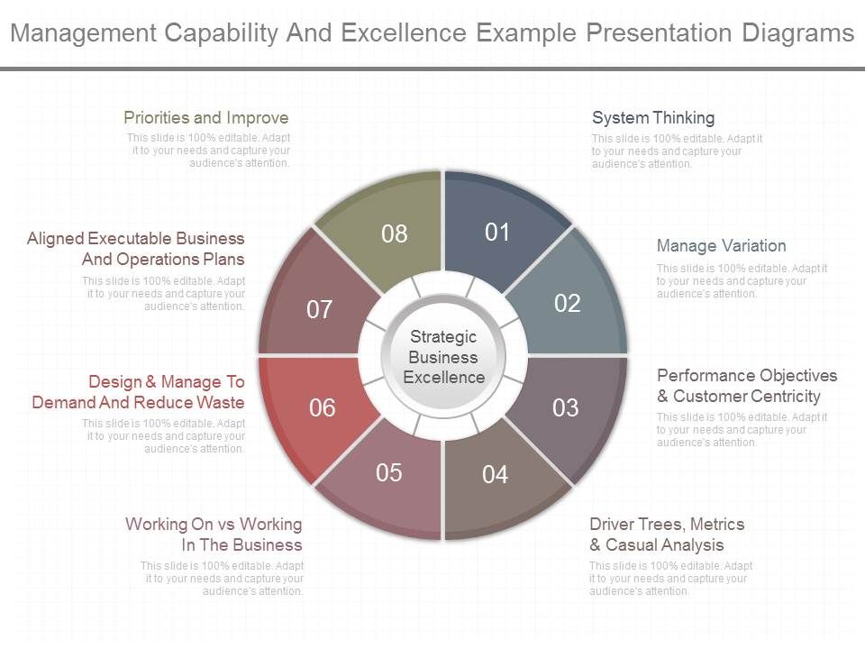 Management_Capability_And_Excellence_Example_Presentation_Diagrams_1.jpg