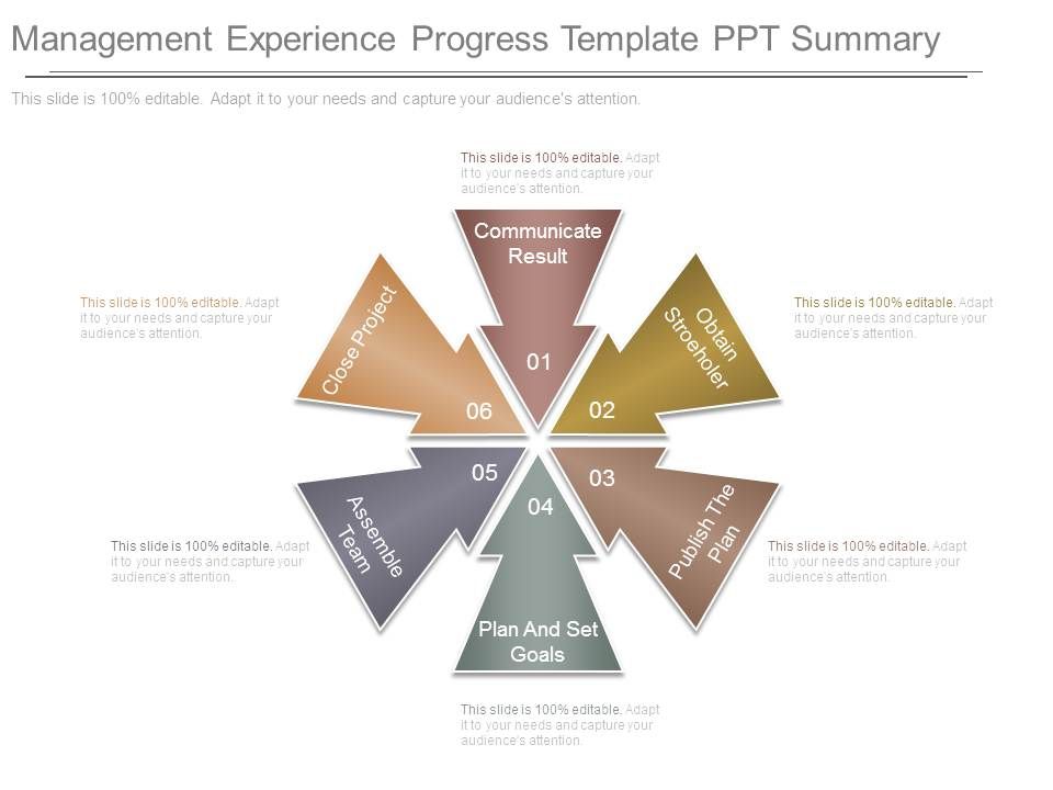 Management_Experience_Progress_Template_Ppt_Summary_1.jpg