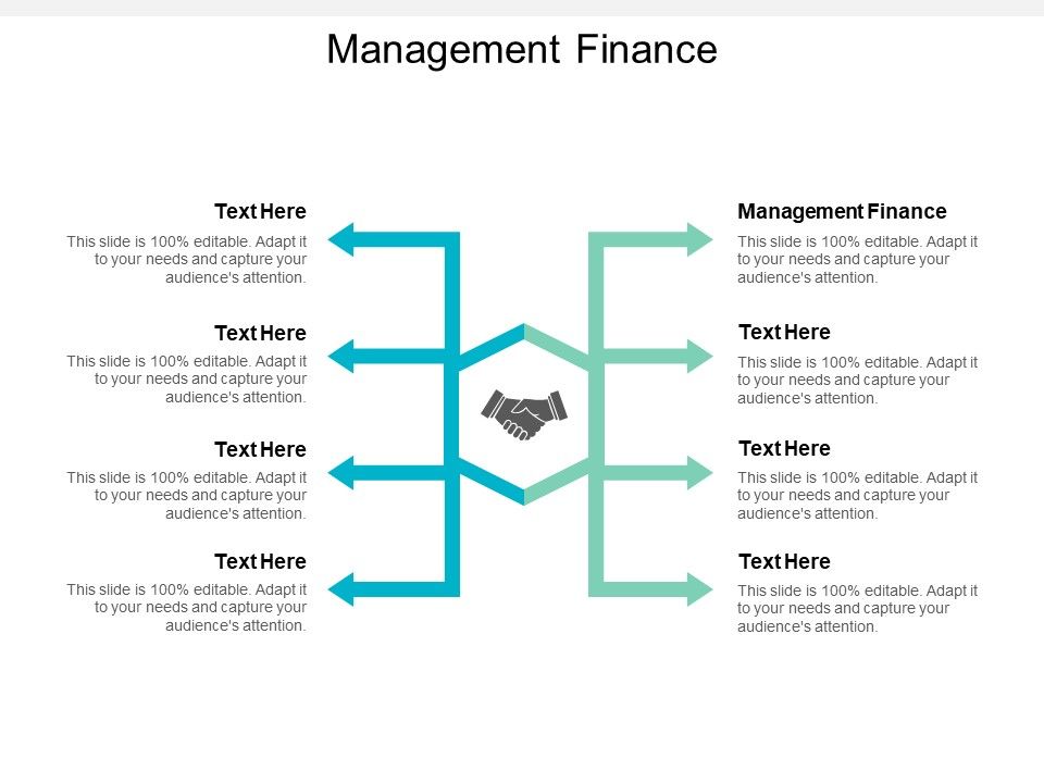 Management_Finance_Ppt_PowerPoint_Presentation_Professional_Portfolio_Cpb_Slide_1.jpg
