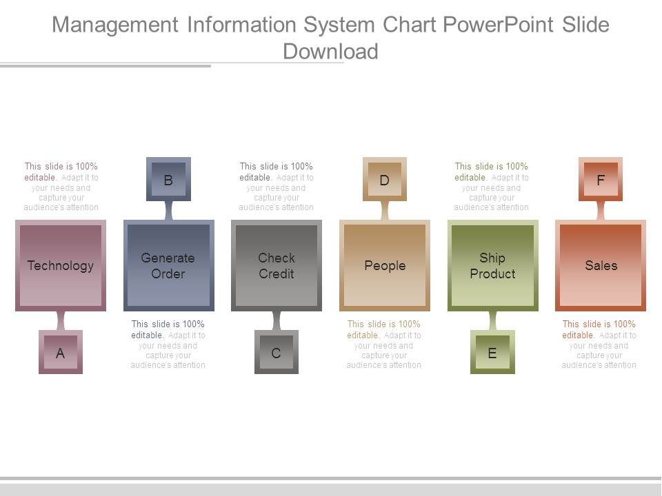 Management_Information_System_Chart_Powerpoint_Slide_Download_1.jpg