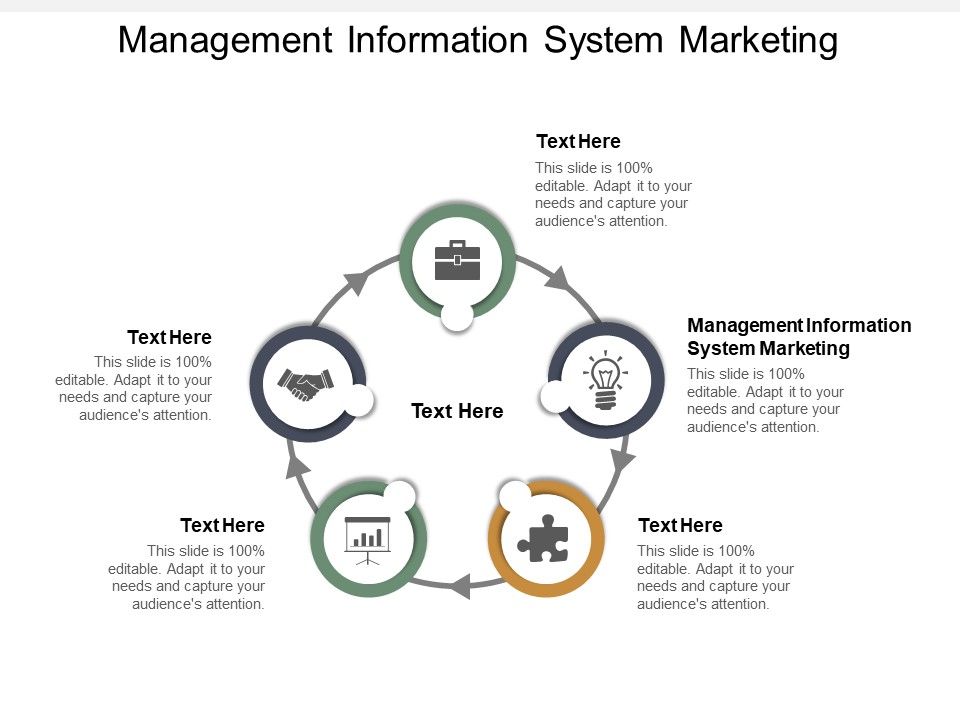 Management_Information_System_Marketing_Ppt_PowerPoint_Presentation_Examples_Cpb_Slide_1.jpg