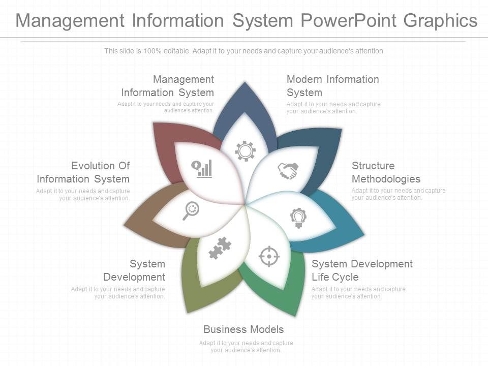 Management_Information_System_Powerpoint_Graphics_1.jpg