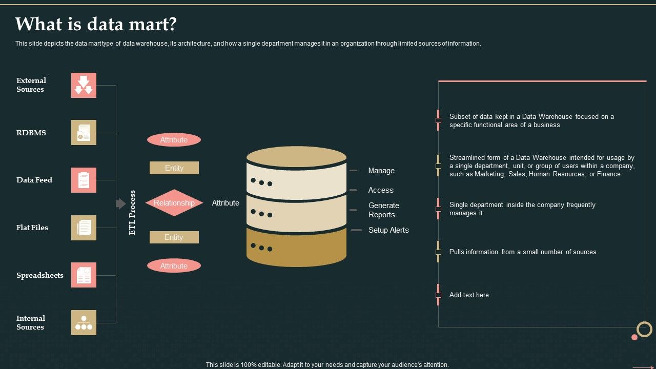 Management_Information_System_What_Is_Data_Mart_Guidelines_PDF_Slide_1.jpg