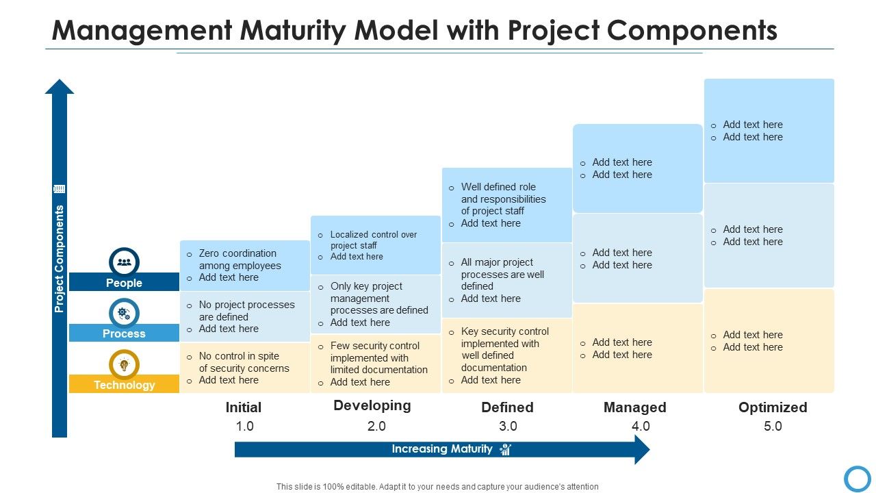 Management_Maturity_Model_With_Project_Components_Portrait_PDF_Slide_1.jpg