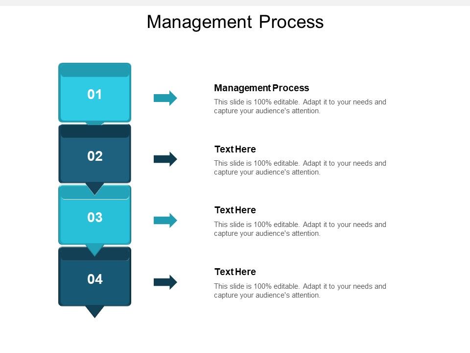Management_Process_Ppt_PowerPoint_Presentation_Portfolio_Slides_Cpb_Slide_1.jpg