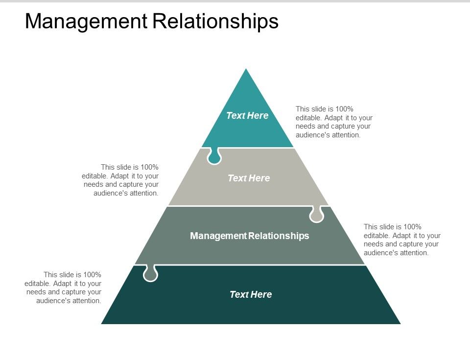 Management_Relationships_Ppt_PowerPoint_Presentation_Summary_Ideas_Slide_1.jpg