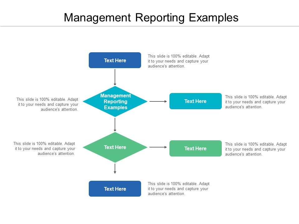 Management_Reporting_Examples_Ppt_PowerPoint_Presentation_Outline_Example_Cpb_Slide_1.jpg