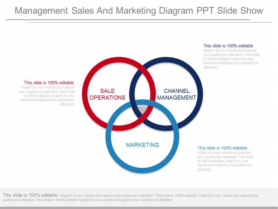 Management_Sales_And_Marketing_Diagram_Ppt_Slide_Show_1.jpg