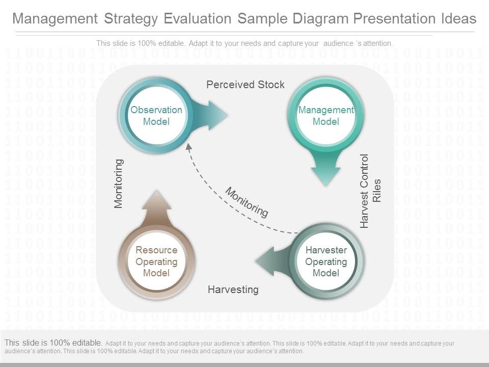 Management_Strategy_Evaluation_Sample_Diagram_Presentation_Ideas_1.jpg
