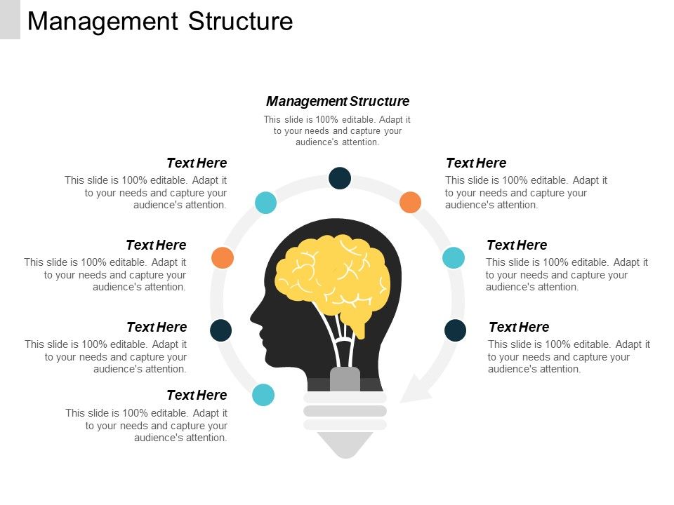Management_Structure_Ppt_PowerPoint_Presentation_File_Show_Cpb_Slide_1.jpg