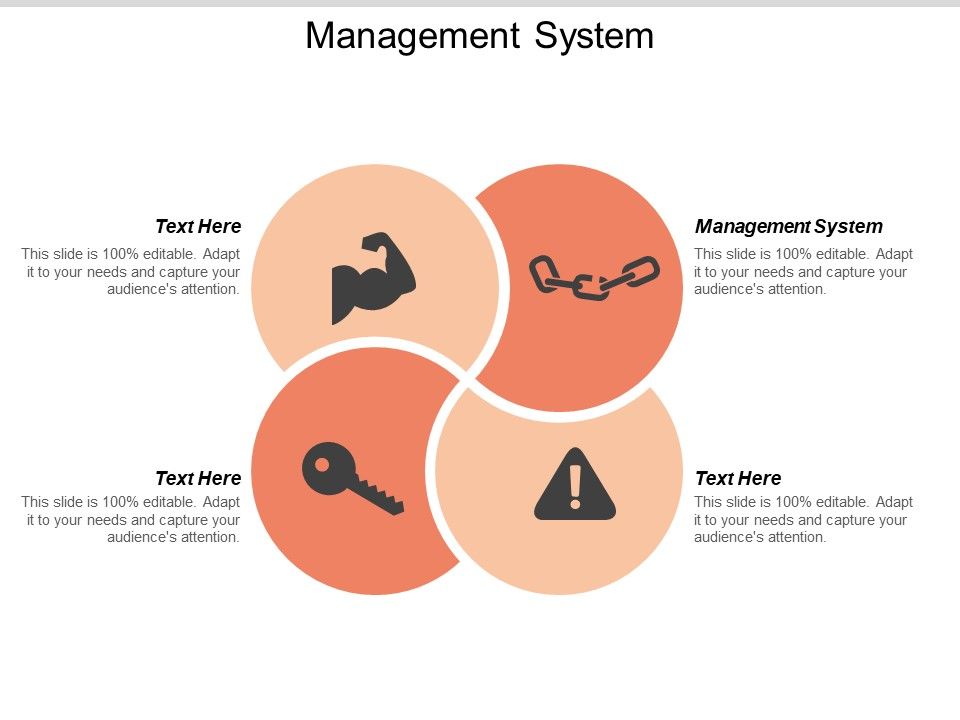 Management_System_Ppt_PowerPoint_Presentation_Pictures_Themes_Cpb_Slide_1.jpg
