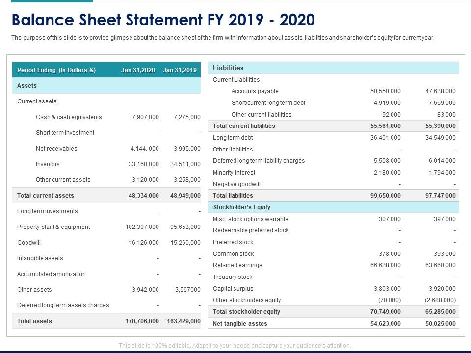 Managing_Organization_Finance_Balance_Sheet_Statement_FY_2019_2020_Ppt_File_Elements_PDF_Slide_1.jpg