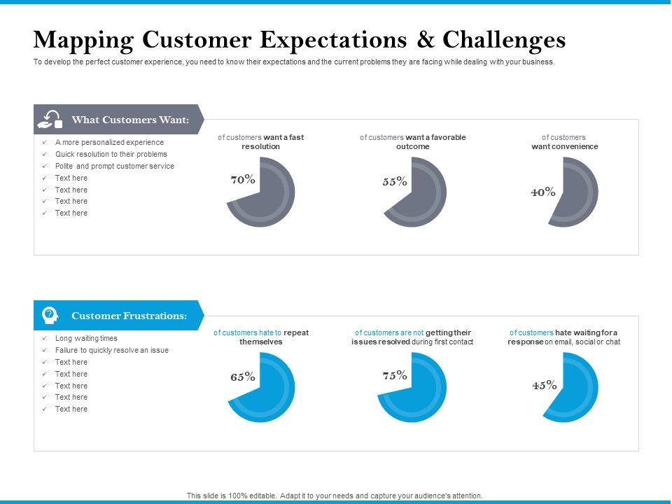 Mapping_Customer_Expectations_And_Challenges_Summary_PDF_Slide_1.jpg