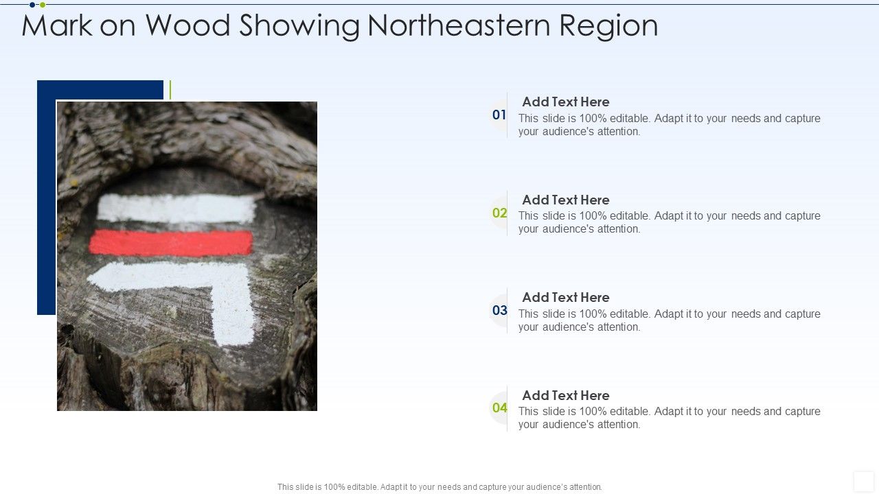 Mark_On_Wood_Showing_Northeastern_Region_Summary_PDF_Slide_1.jpg