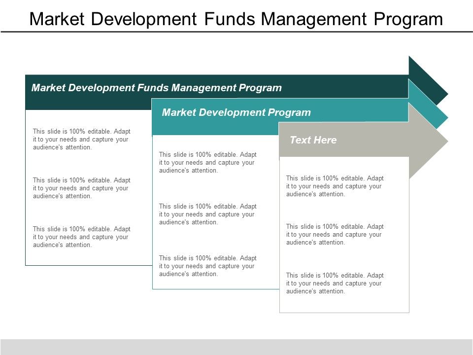Market_Development_Funds_Management_Program_Market_Development_Program_Ppt_PowerPoint_Presentation_Professional_Graphics_Download_Slide_1.jpg