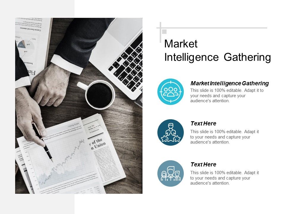 Market_Intelligence_Gathering_Ppt_PowerPoint_Presentation_Model_Example_Introduction_Cpb_Slide_1.jpg