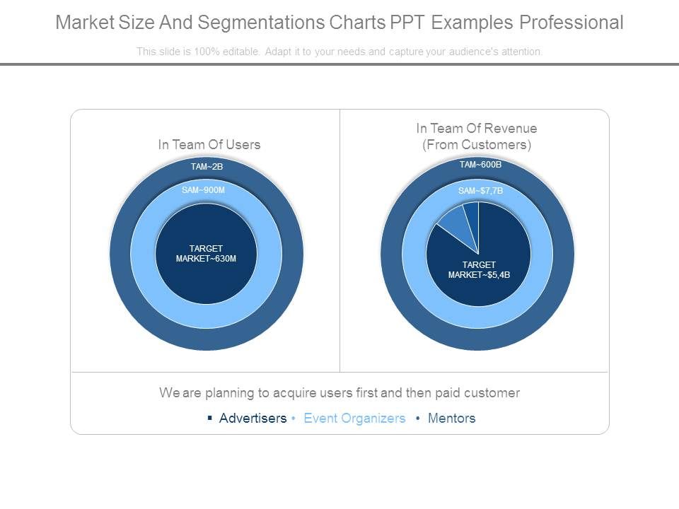 Market_Size_And_Segmentations_Charts_Ppt_Examples_Professional_1.jpg