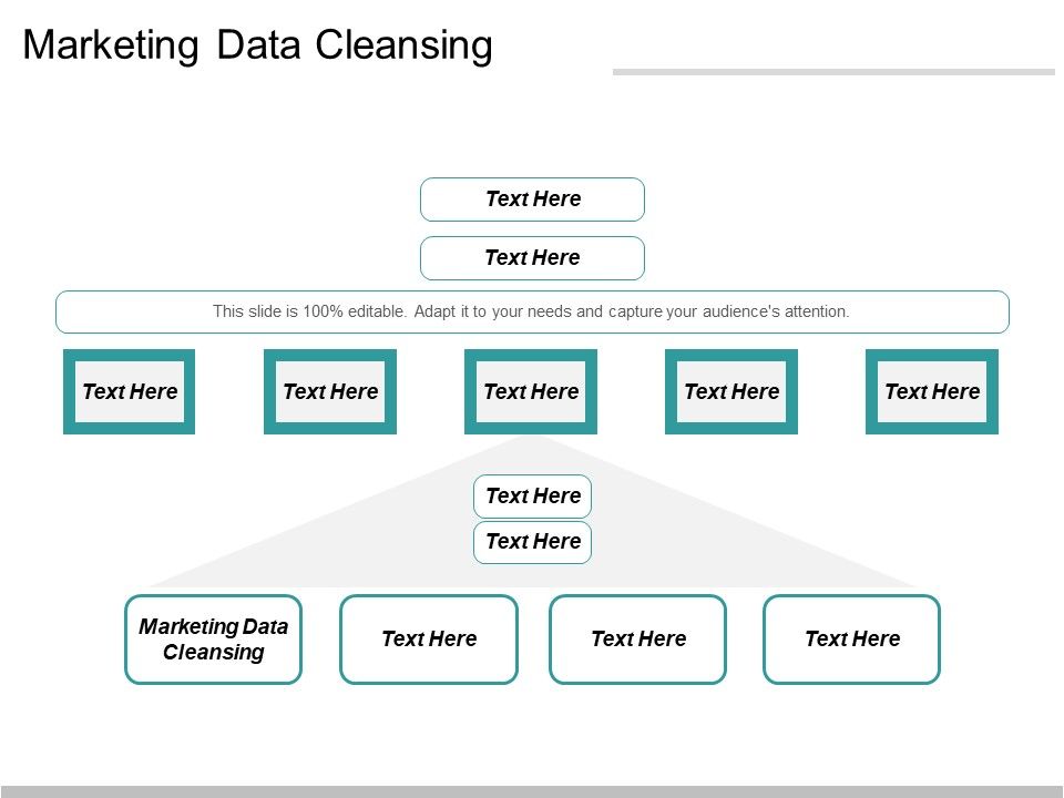 Marketing_Data_Cleansing_Ppt_PowerPoint_Presentation_Show_Visual_Aids_Cpb_Slide_1.jpg