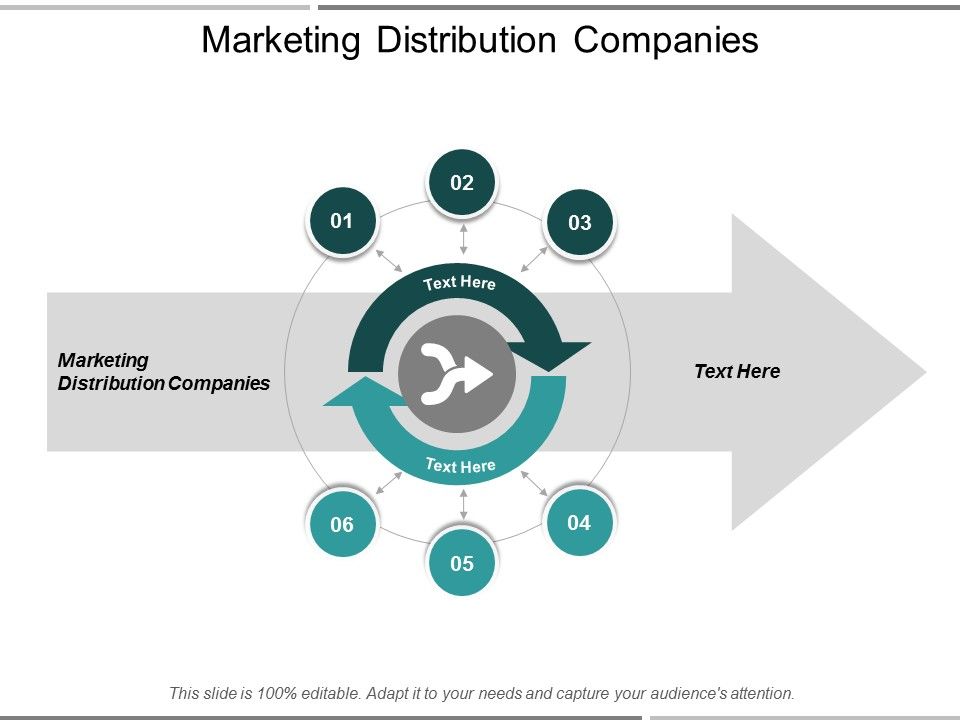 Marketing_Distribution_Companies_Ppt_PowerPoint_Presentation_Gallery_Graphic_Tips_Cpb_Slide_1.jpg