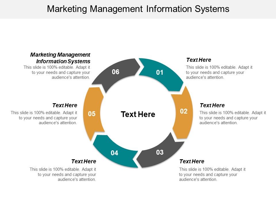 Marketing_Management_Information_Systems_Ppt_PowerPoint_Presentation_Inspiration_Portfolio_Cpb_Slide_1.jpg