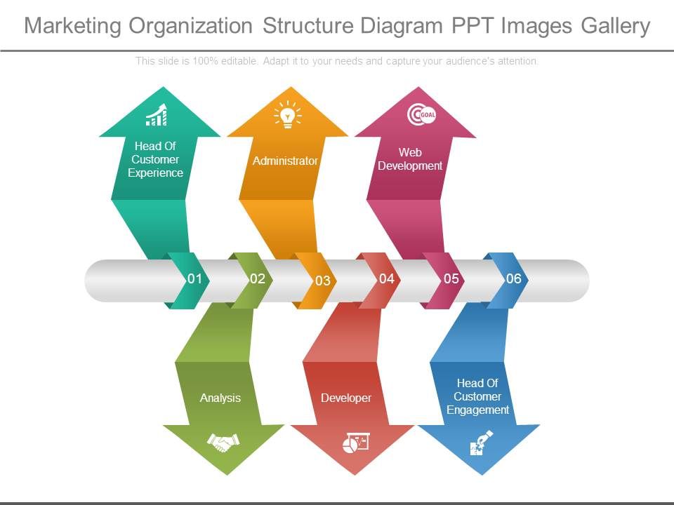 Marketing_Organization_Structure_Diagram_Ppt_Images_Gallery_1.jpg