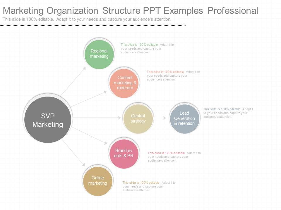 Marketing_Organization_Structure_Ppt_Examples_Professional_1.jpg