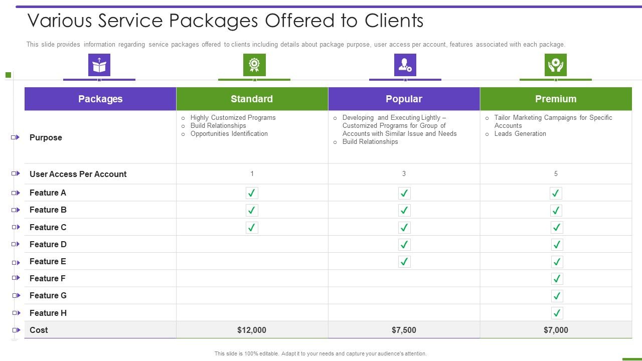Marketing_Playbook_To_Maximize_ROI_Various_Service_Packages_Offered_To_Clients_Download_PDF_Slide_1.jpg
