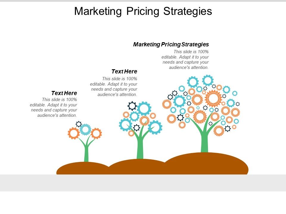 Marketing_Pricing_Strategies_Ppt_PowerPoint_Presentation_Styles_Example__Cpb_Slide_1.jpg