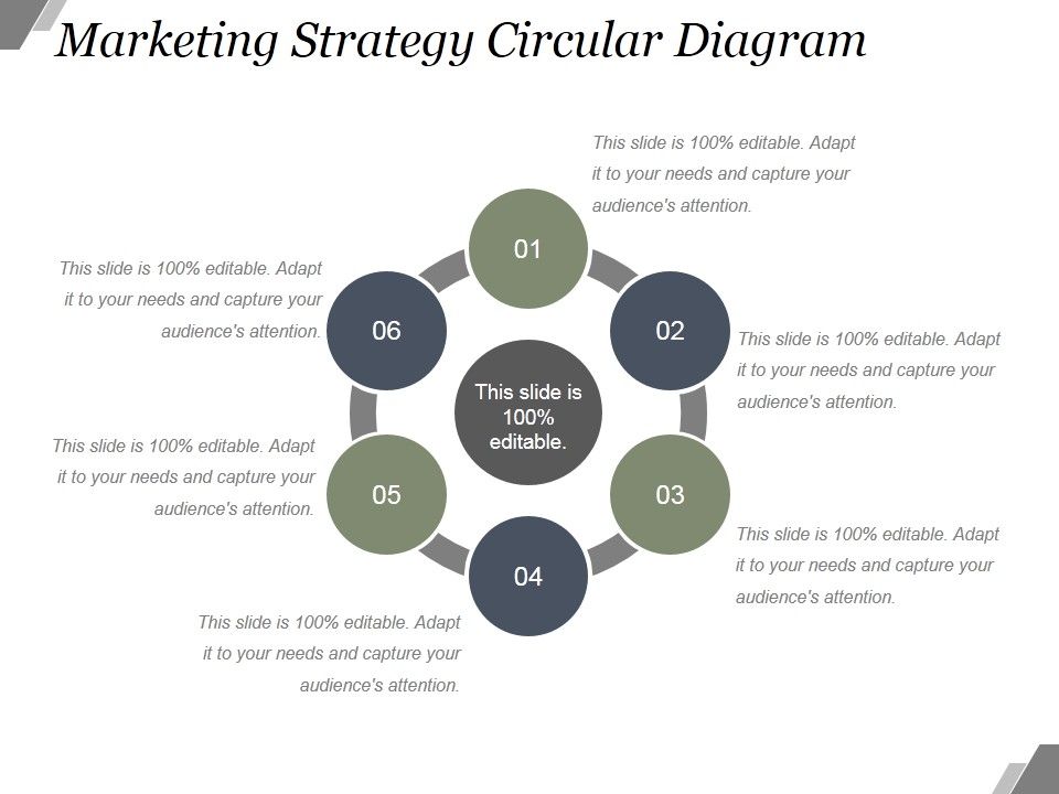Marketing_Strategy_Circular_Diagram_Ppt_PowerPoint_Presentation_Picture_Slide_1.jpg