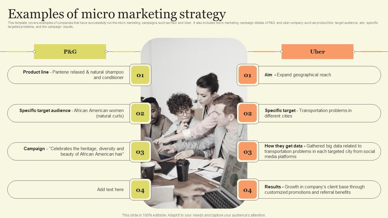 Marketing_Techniques_For_Increasing_Target_Audience_Examples_Of_Micro_Marketing_Strategy_Designs_PDF_Slide_1.jpg