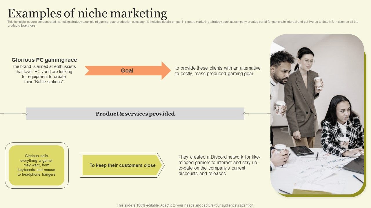 Marketing_Techniques_For_Increasing_Target_Audience_Examples_Of_Niche_Marketing_Pictures_PDF_Slide_1.jpg