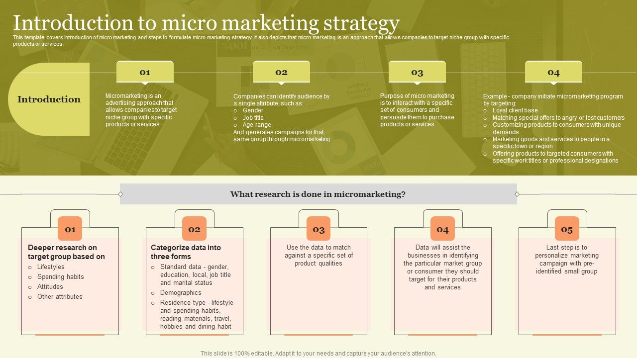 Marketing_Techniques_For_Increasing_Target_Audience_Introduction_To_Micro_Marketing_Strategy_Professional_PDF_Slide_1.jpg