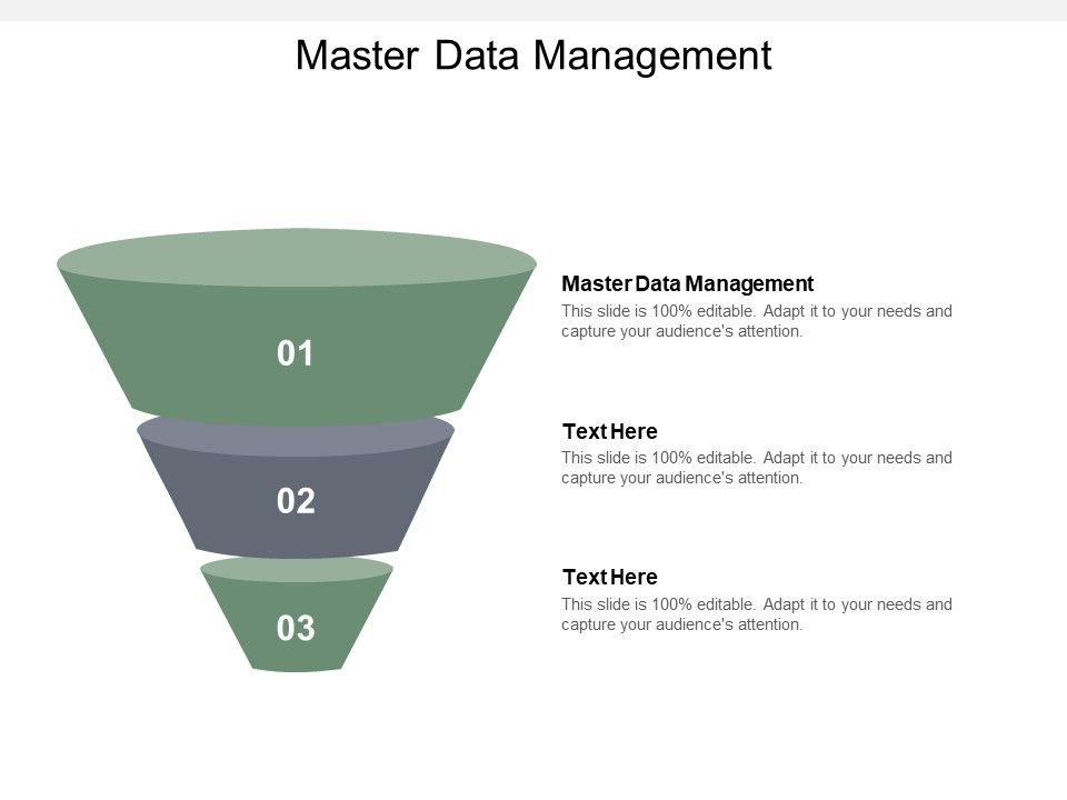 Master_Data_Management_Ppt_PowerPoint_Presentation_Infographic_Template_Introduction_Cpb_Slide_1.jpg