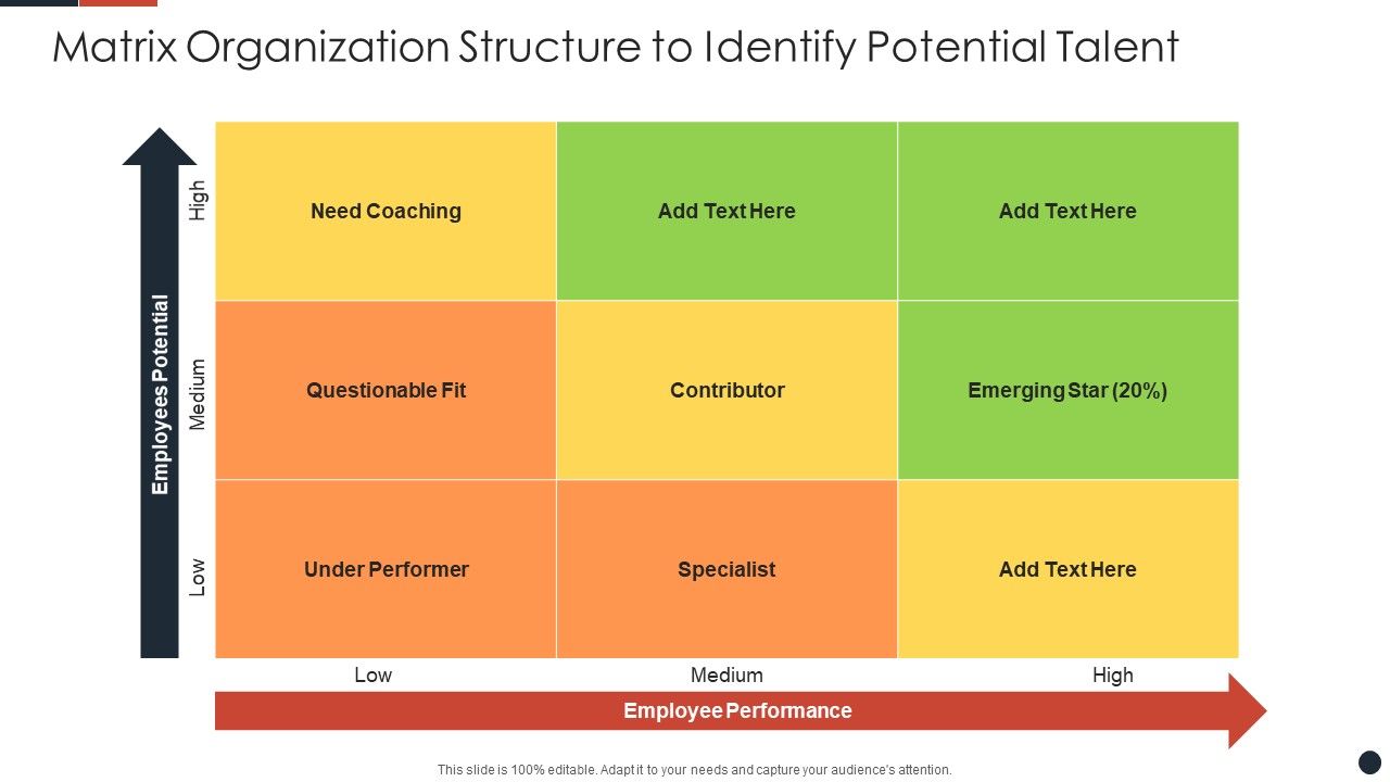 Matrix_Organization_Structure_To_Identify_Potential_Talent_Guidelines_PDF_Slide_1.jpg