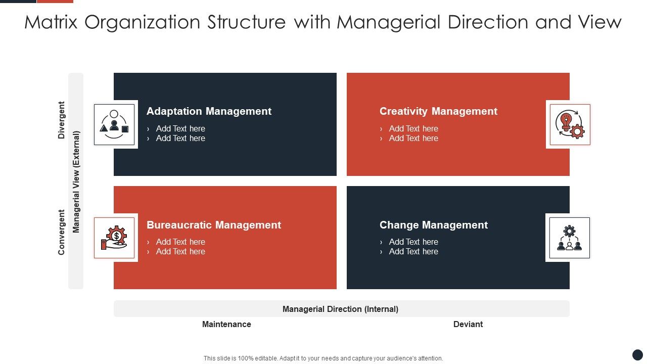 Matrix_Organization_Structure_With_Managerial_Direction_And_View_Inspiration_PDF_Slide_1.jpg
