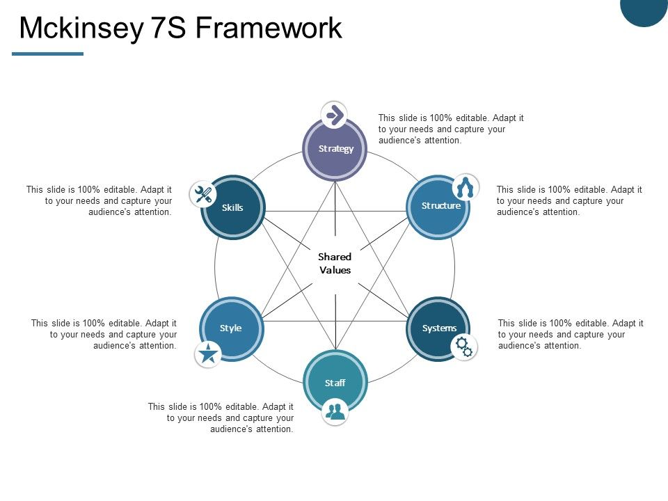 Mckinsey_7S_Framework_Ppt_PowerPoint_Presentation_Portfolio_Summary_Slide_1.jpg