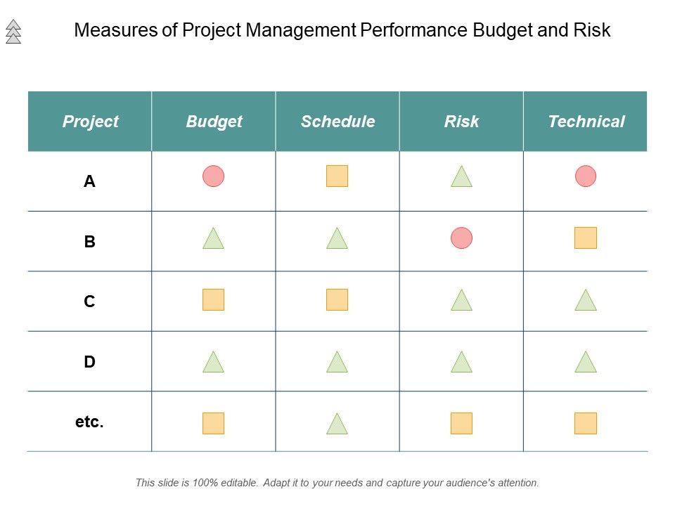 Measures_Of_Project_Management_Performance_Budget_And_Risk_Ppt_PowerPoint_Presentation_Outline_Graphics_Design_Slide_1.jpg