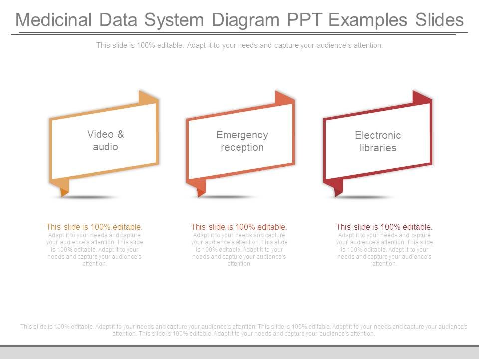 Medicinal_Data_System_Diagram_Ppt_Examples_Slides_1.jpg