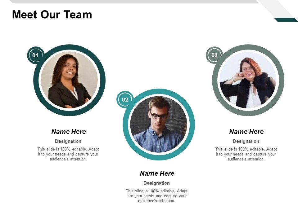 Meet_Our_Team_Planning_Ppt_PowerPoint_Presentation_Summary_Gallery_Slide_1.jpg