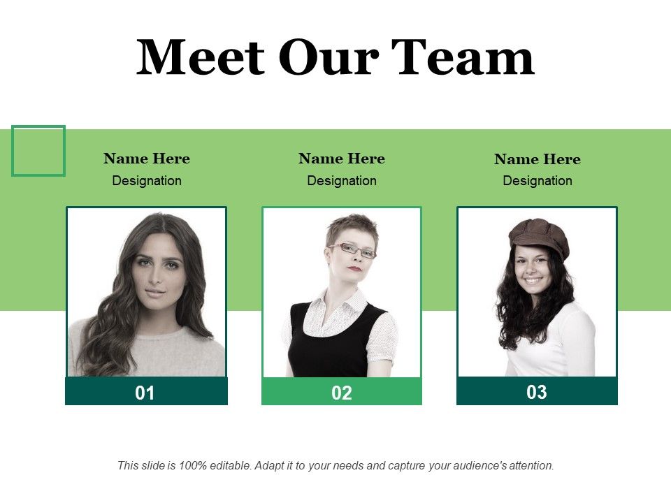 Meet_Our_Team_Ppt_PowerPoint_Presentation_File_Graphics_Tutorials_Slide_1.jpg