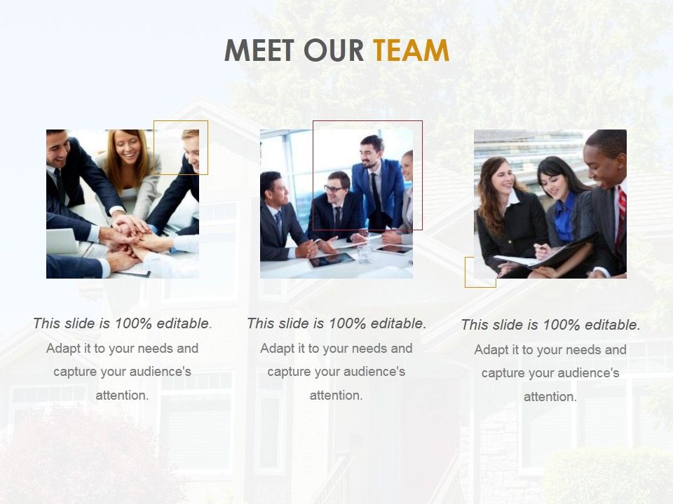 Meet_Our_Team_Ppt_PowerPoint_Presentation_Inspiration_Infographic_Template_Slide_1.jpg