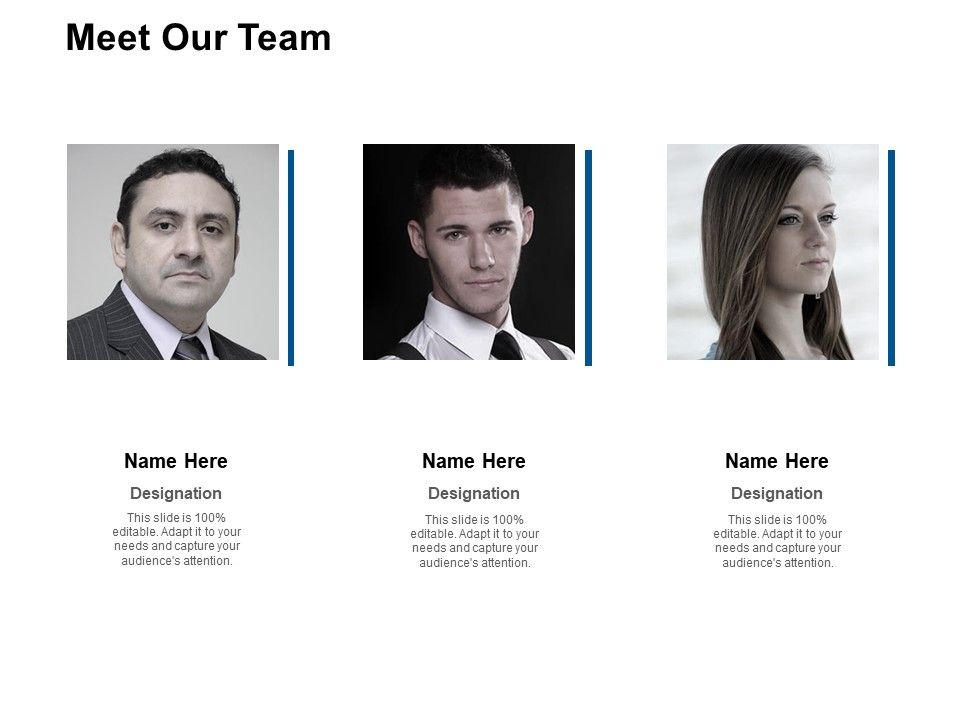 Meet_Our_Team_Ppt_PowerPoint_Presentation_Summary_Graphics_Example_Slide_1.jpg