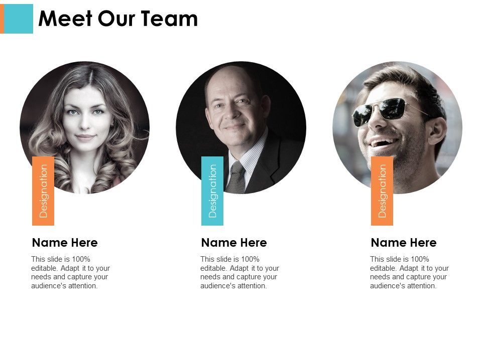 Meet_Our_Team_Sample_Budget_Ppt_Ppt_PowerPoint_Presentation_Infographic_Template_Show_Slide_1.jpg