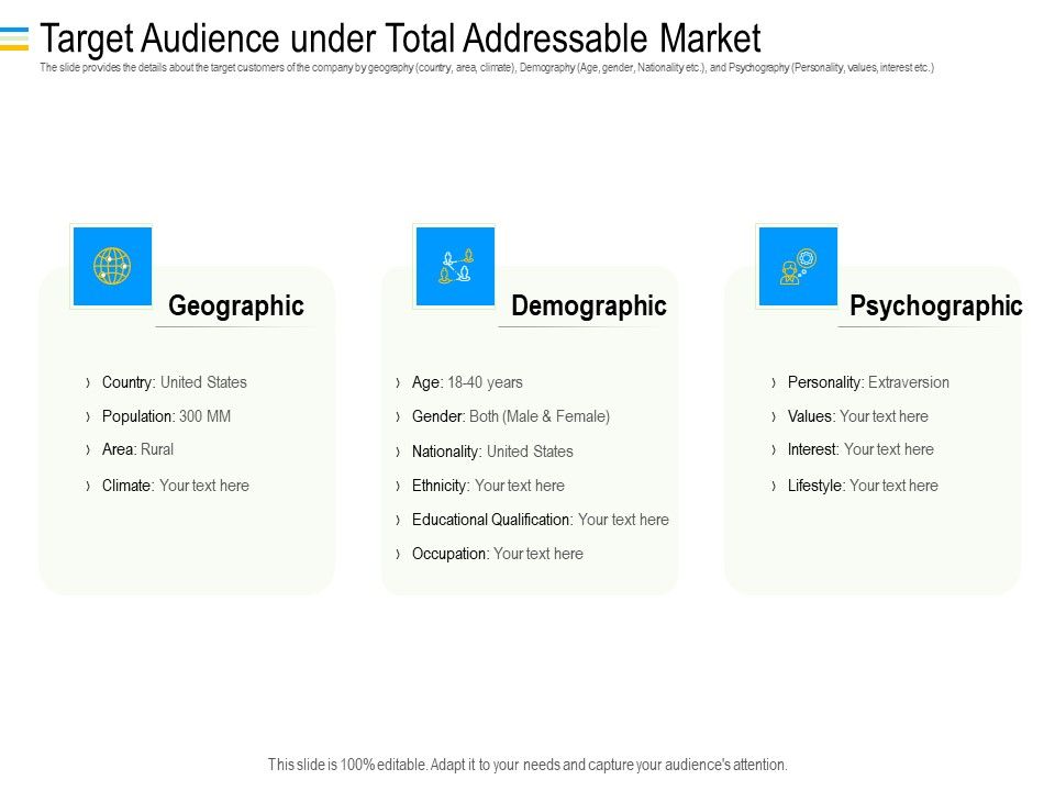Mezzanine_Debt_Financing_Pitch_Deck_Target_Audience_Under_Total_Addressable_Market_Ppt_File_Graphics_Design_PDF_Slide_1.jpg