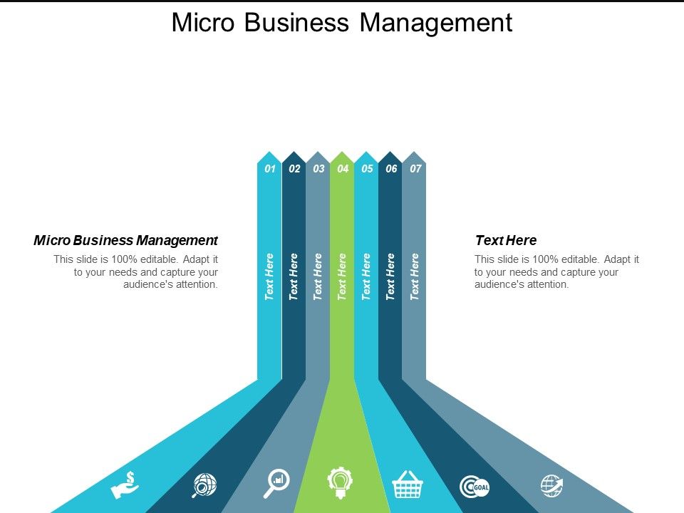 Micro_Business_Management_Ppt_PowerPoint_Presentation_Show_Graphics_Cpb_Slide_1.jpg
