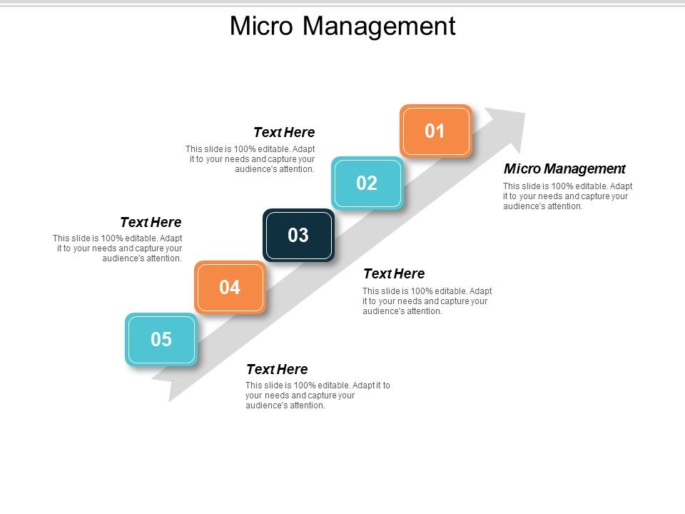 Micro_Management_Ppt_PowerPoint_Presentation_Gallery_Example_File_Cpb_Slide_1.jpg