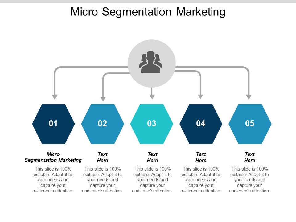 Micro_Segmentation_Marketing_Ppt_PowerPoint_Presentation_Ideas_Graphics_Cpb_Slide_1.jpg