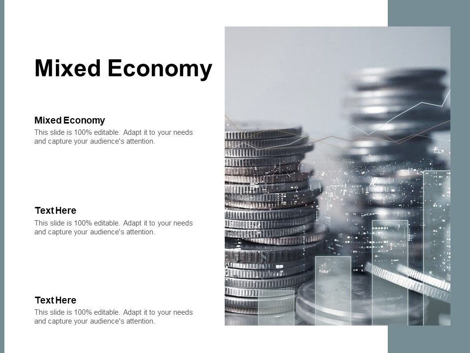 Mixed_Economy_Ppt_PowerPoint_Presentation_Visual_Aids_Summary_Cpb_Pdf_Slide_1.jpg