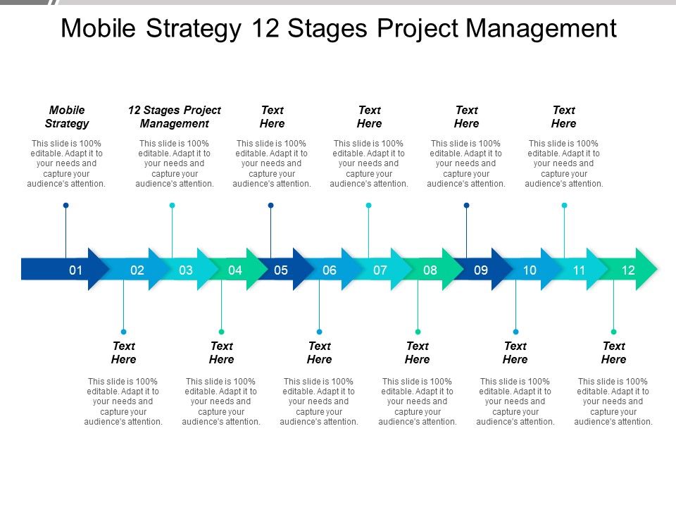 Mobile_Strategy_12_Stages_Project_Management_Ppt_PowerPoint_Presentation_Layouts_Graphics_Example_Slide_1.jpg